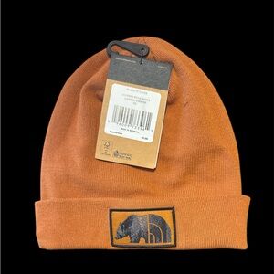 Brand New North Face hat